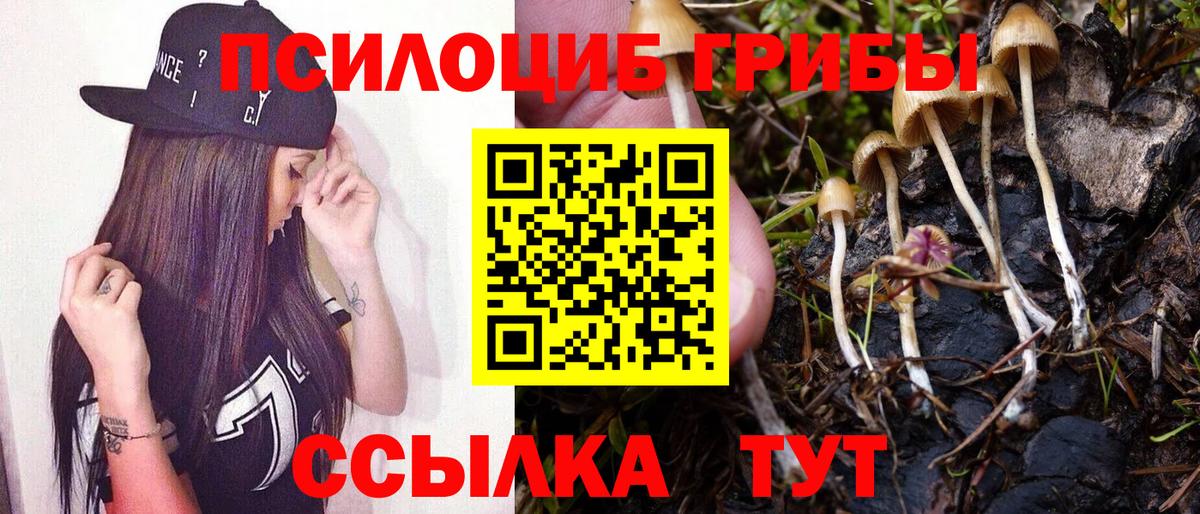 Псилоцибиновые грибы мицелий  Вход с VPN  Новотроицк 