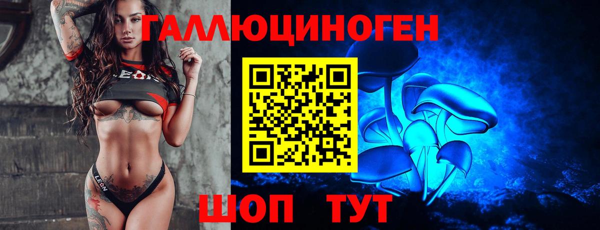 Псилоцибиновые грибы GOLDEN TEACHER Новотроицк